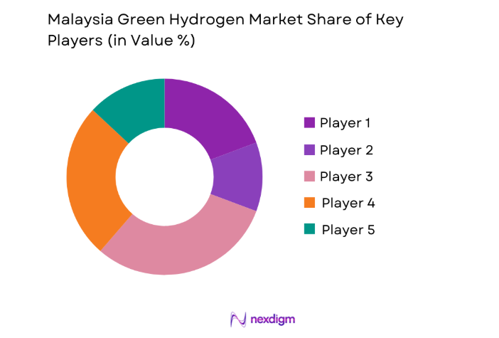Malaysia Green Hydrogen Market key players