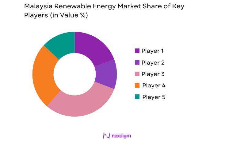 Malaysia Renewable Energy Market key players