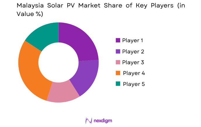 Malaysia Solar PV Market key players
