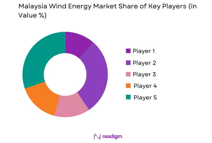 Malaysia Wind Energy Market key players