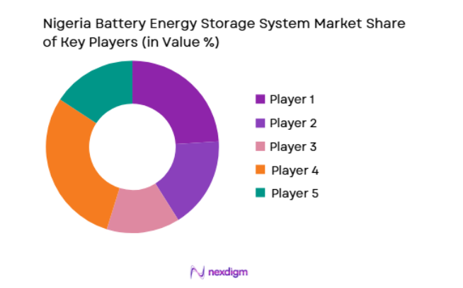 Nigeria Battery Energy Storage System Market key players