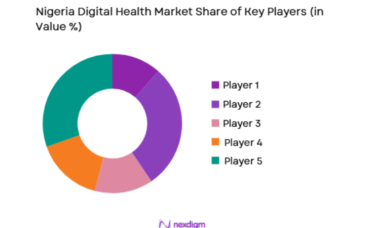 Nigeria Digital Health Market key players