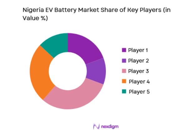 Nigeria EV Battery Market key players