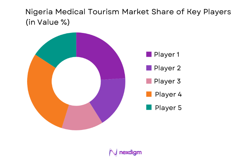 Nigeria Medical Tourism Market key players