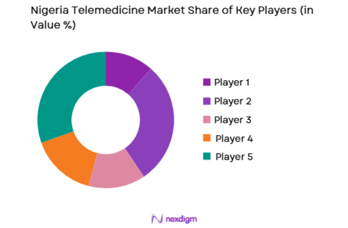 Nigeria Telemedicine Market key players