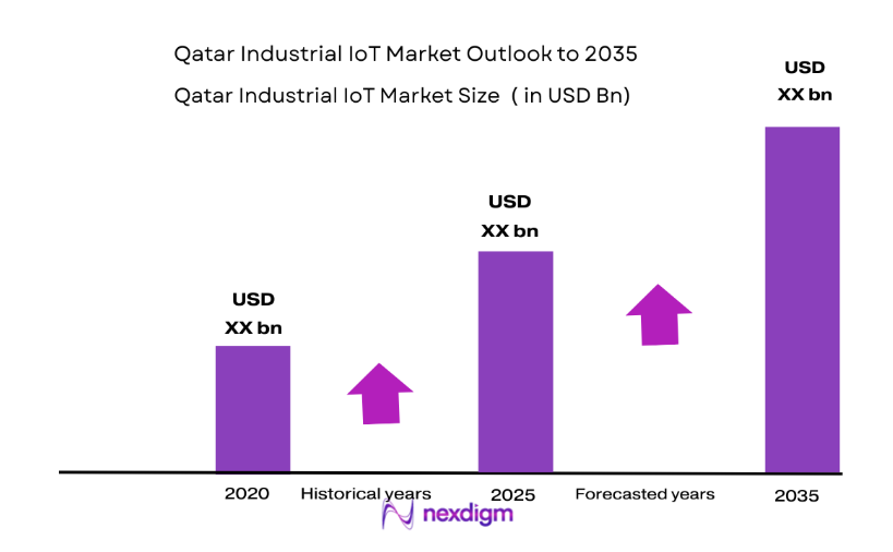 Qatar Industrial IoT Market size