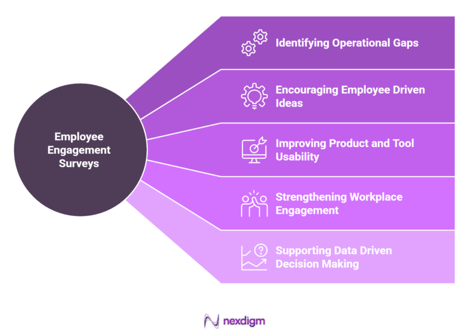 Role of Employee Engagement Surveys
