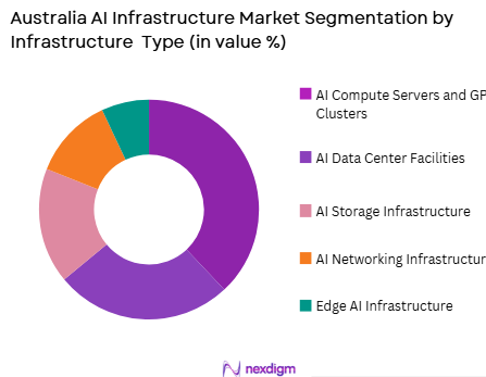 Australia AI infrastructure market by infrastructure type