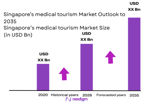 Singapore Medical Tourism Market size