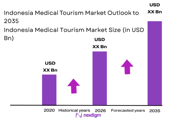 Indonesia Medical Tourism market size