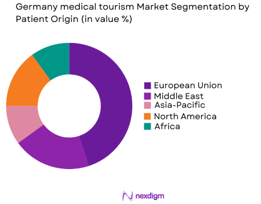 Germany medical tourism market by patient origin