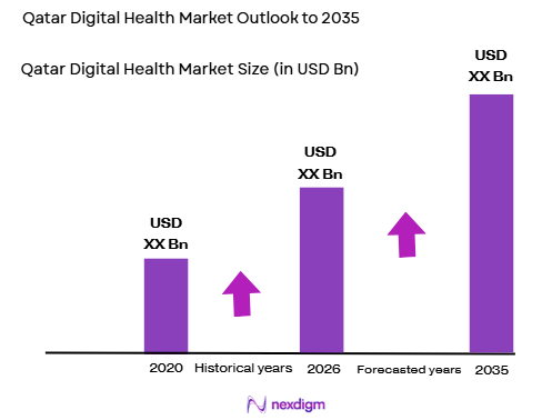 Qatar Digital Health Market size