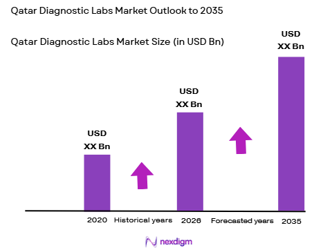 Qatar Diagnostic Labs market size