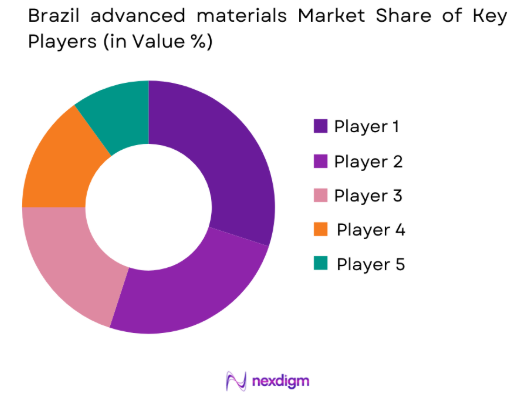 Brazil advanced materials market share of key players