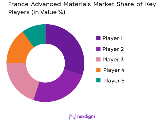 France Advanced Materials Market share of key players