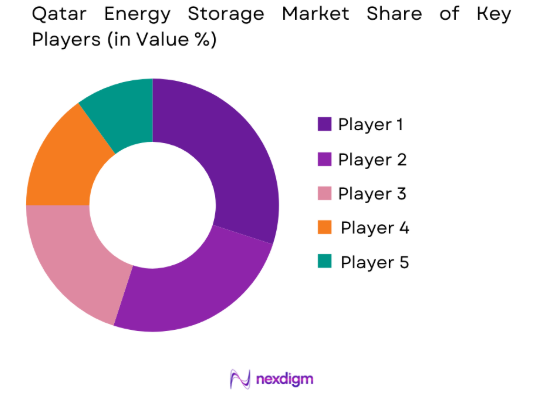 Qatar energy storage market share of key players