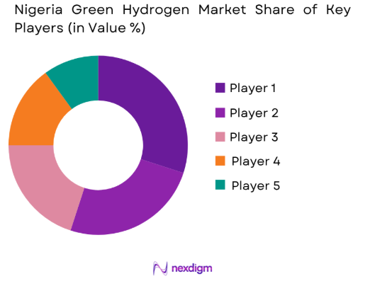Nigeria Green Hydrogen market share of key players