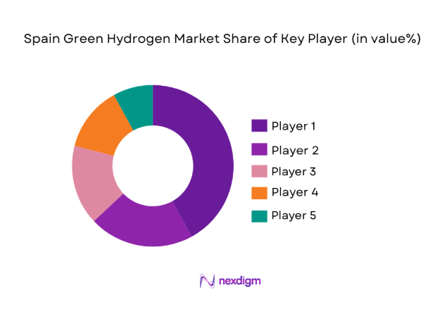 Spain Green Hydrogen Market