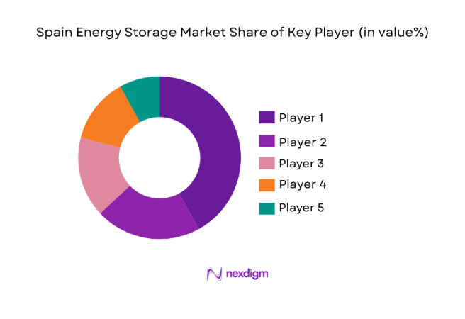 Spain Energy Storage Market 