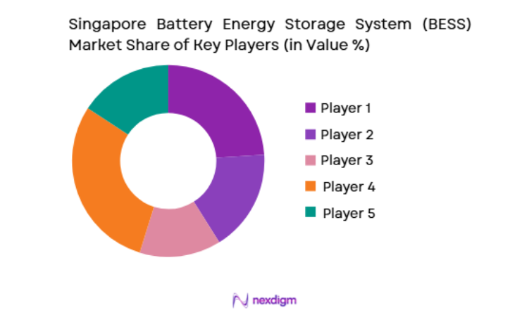 Singapore Battery Energy Storage System Market key players