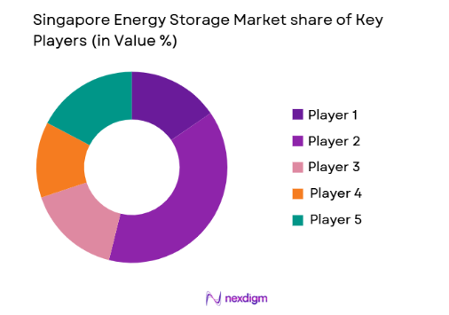 Singapore Energy Storage Market share of key players