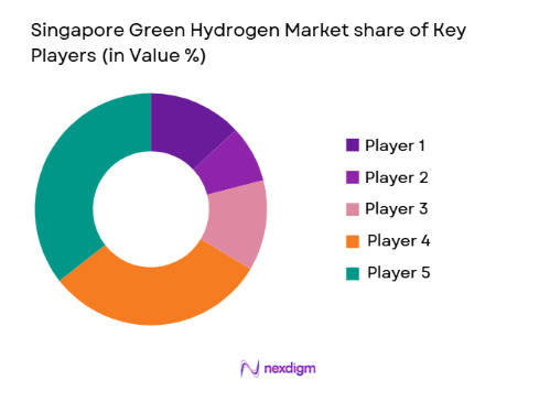 Singapore Green Hydrogen Market segmentation by end user type.png