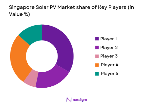Singapore Solar PV Market share of key players
