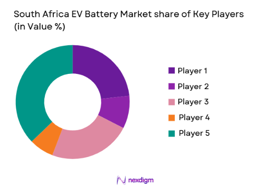South Africa EV Battery Market share of key players