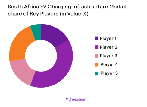 South Africa EV Charging Infrastructure Market share of key players
