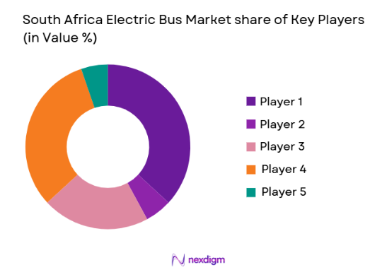 South Africa Electric Bus Market share of key players