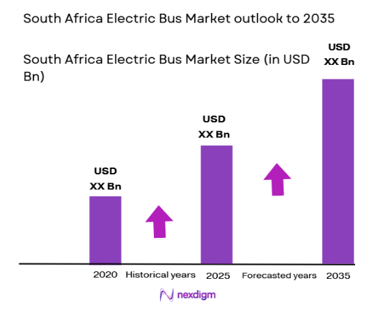 South Africa Electric Bus Market size