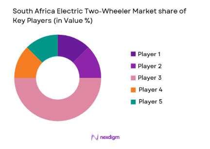 South Africa Electric Two-Wheeler Market share of key players