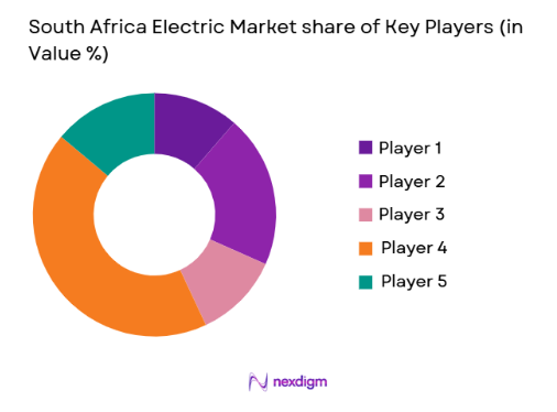 South Africa Electric Vehicle Market share of key players
