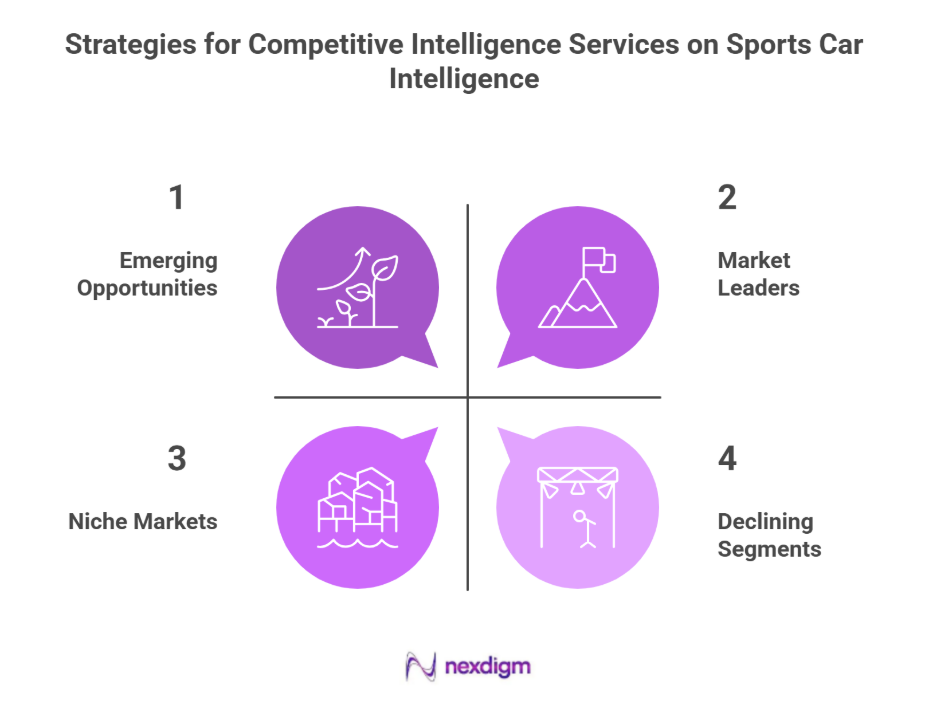Sports Car Competitive Intelligence Services