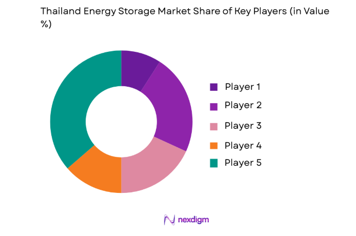 Thailand Energy Storage Market key players
