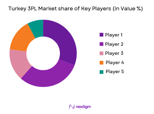 Turkey 3PL Market share of key players