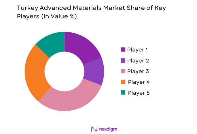 Turkey Advanced Materials Market key players