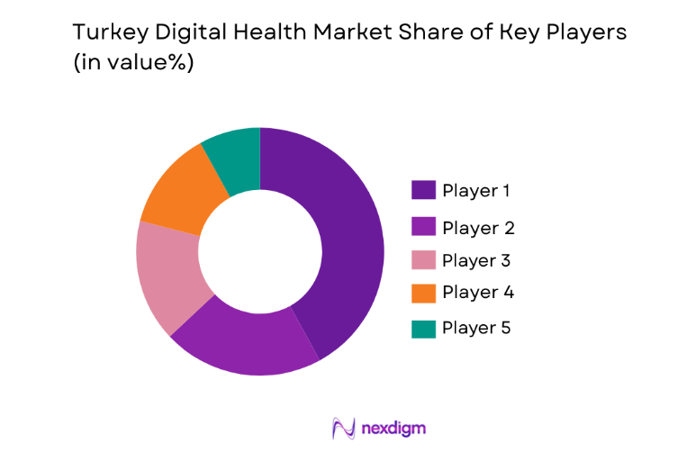 Turkey Digital Health Market key players