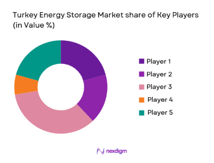 Turkey Energy Storage Market share of key players