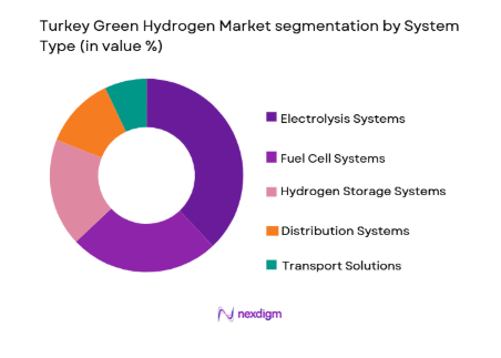 Turkey Green Hydrogen Market segmentation by product type