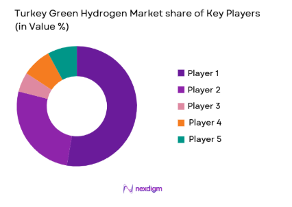 Turkey Green Hydrogen Market share of key players
