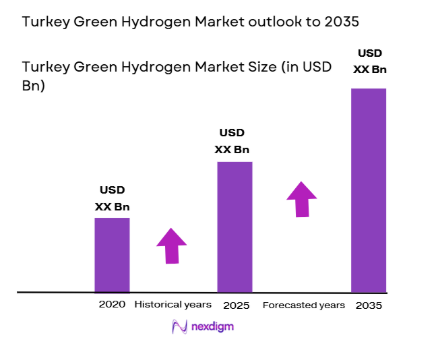 Turkey Green Hydrogen Market size