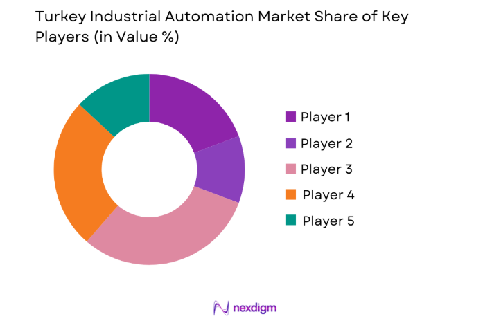 Turkey Industrial Automation Market key players