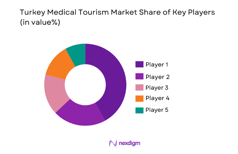 Turkey Medical Tourism Market key players