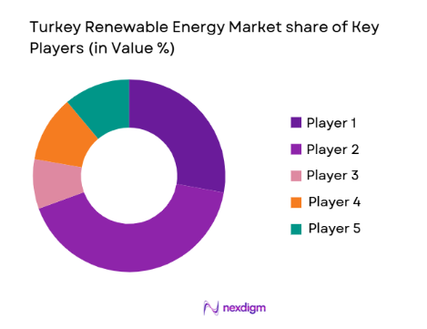Turkey Renewable Energy Market share of key players