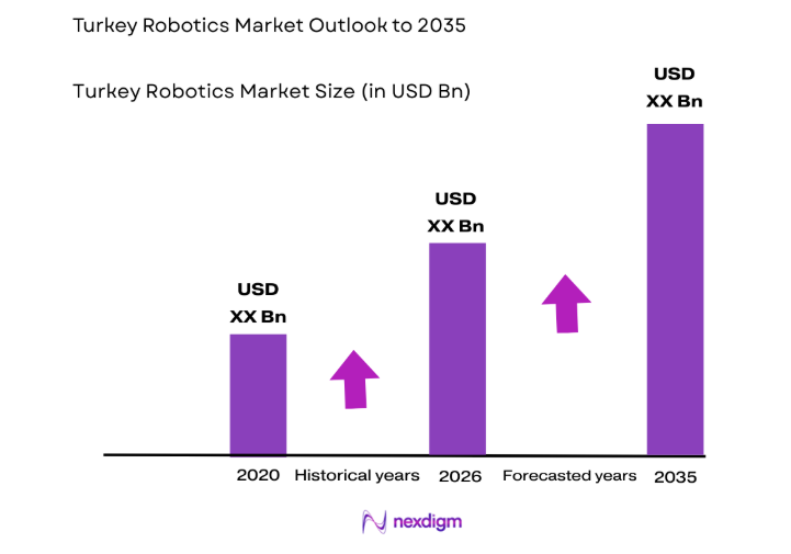 Turkey Robotics Market size