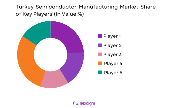 Turkey Semiconductor Manufacturing Market key players