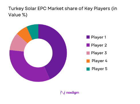 Turkey Solar EPC Market share of key players