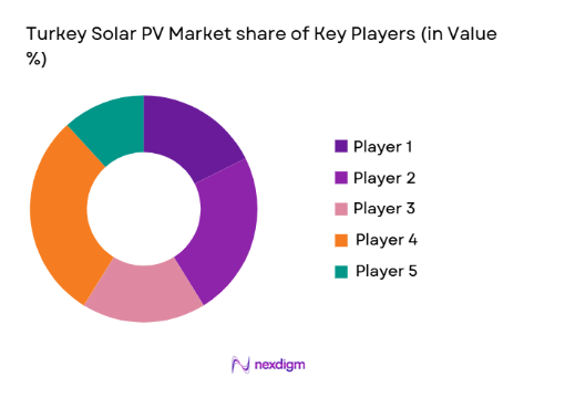 Turkey Solar PV Market share of key players