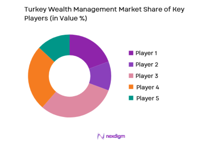 Turkey Wealth Management Market key players